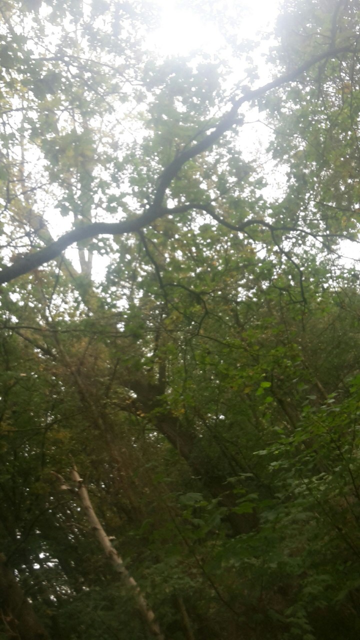 #autumm