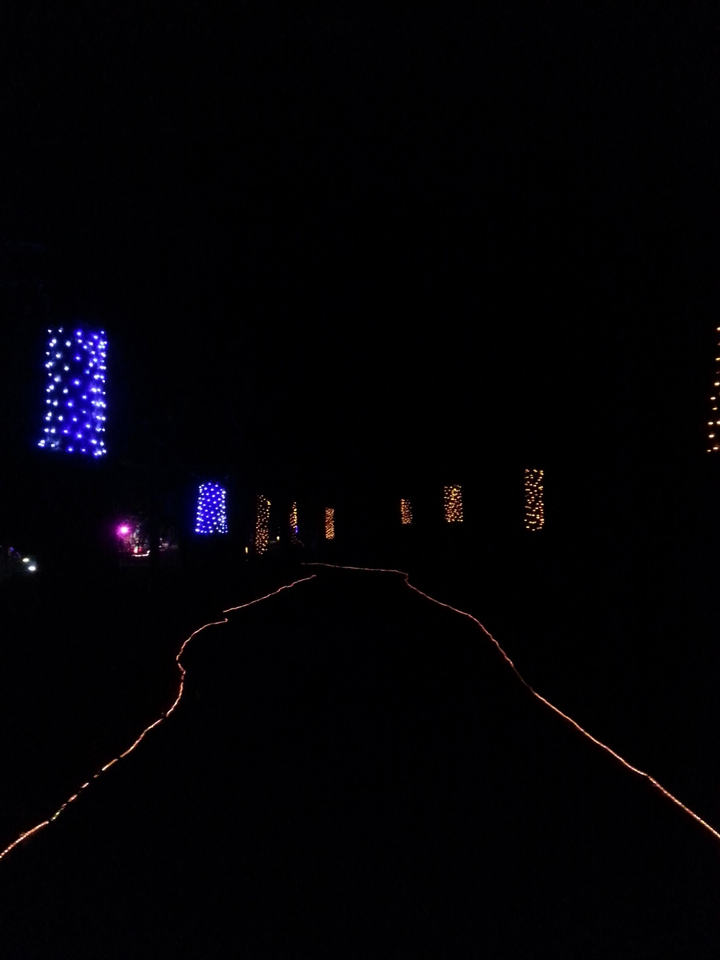 Night road