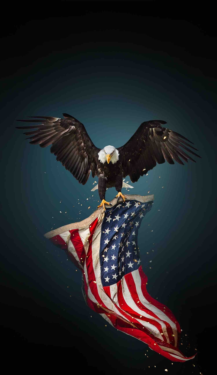 usa