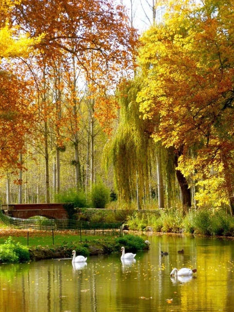 autumn