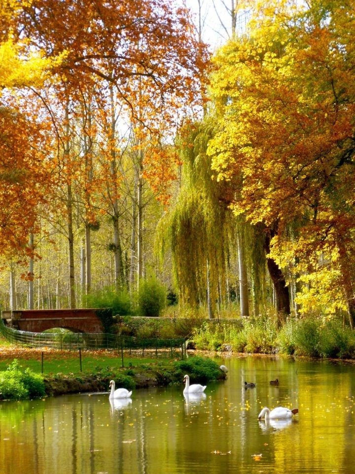 autumn