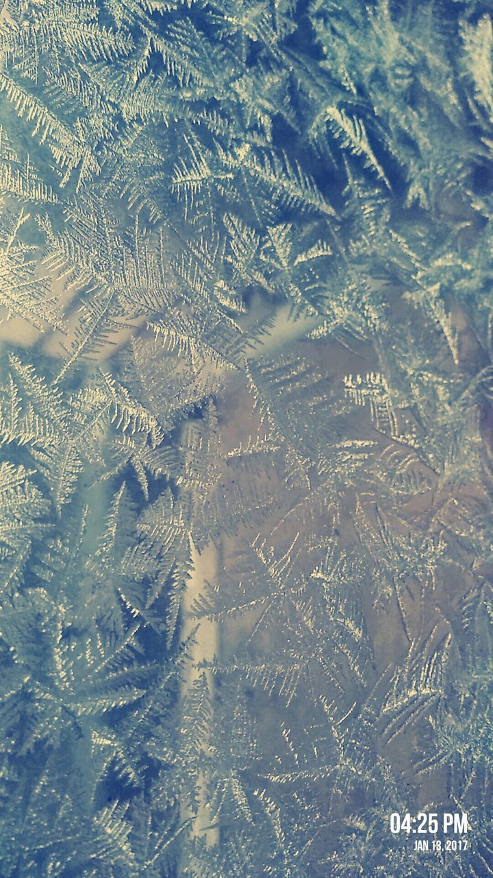 frost