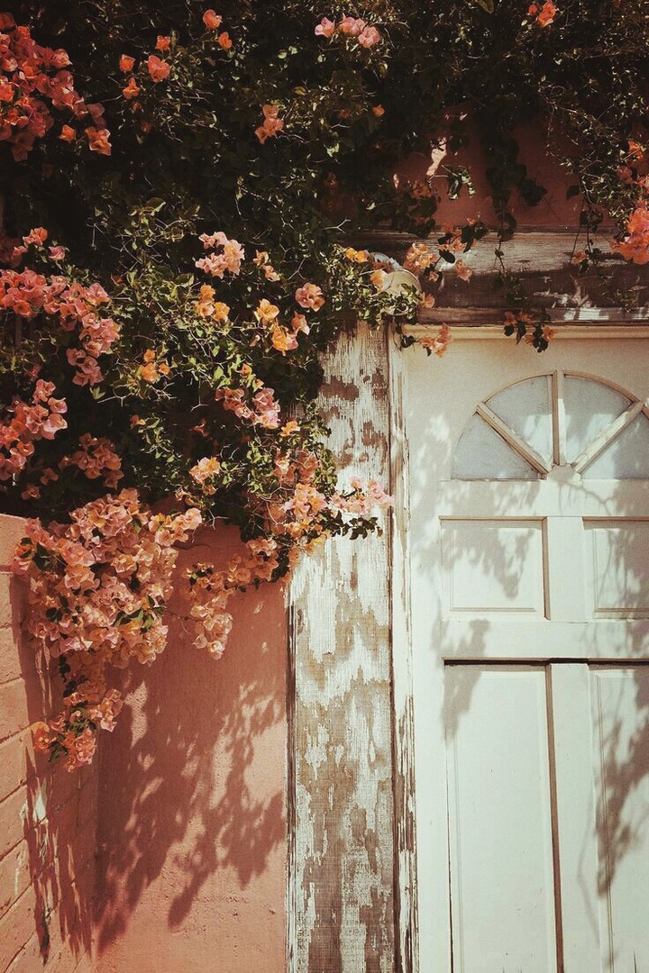 flower in door