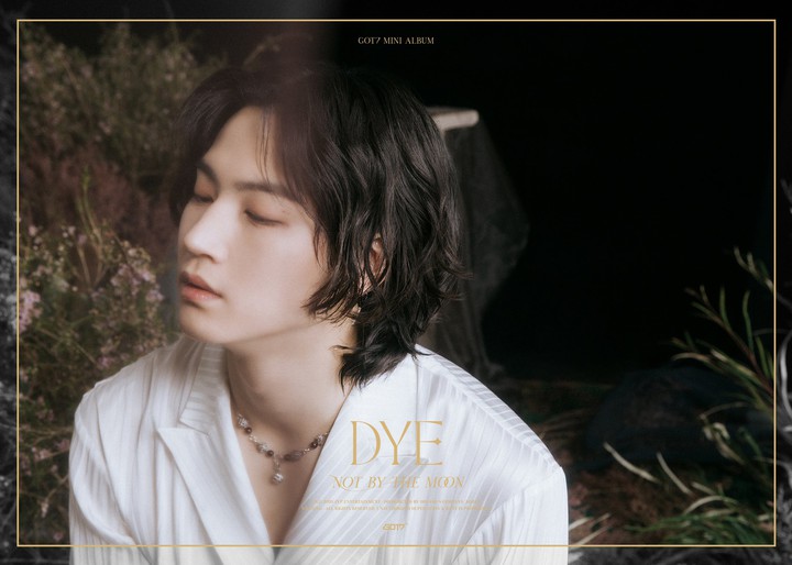 Got7 Dye Album