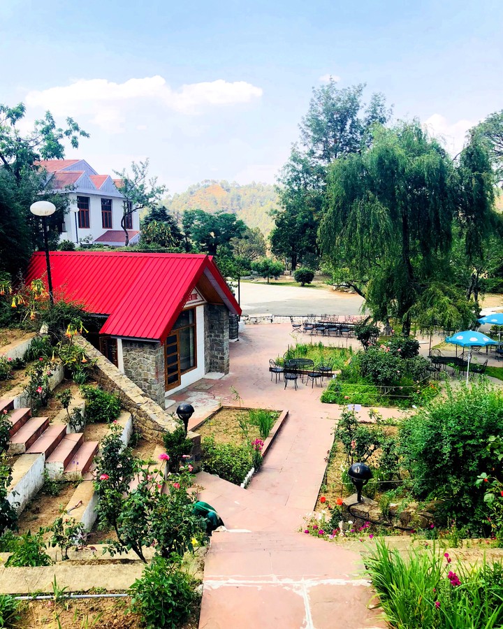 Shimla