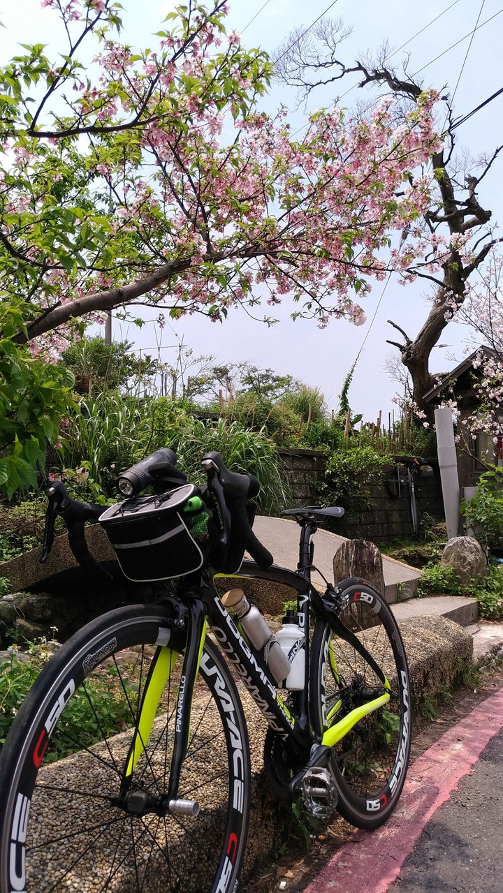 Afternoon Ride