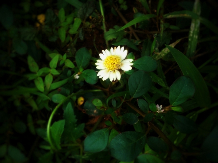 Nature