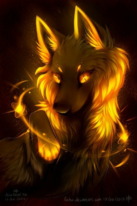 orange wolf