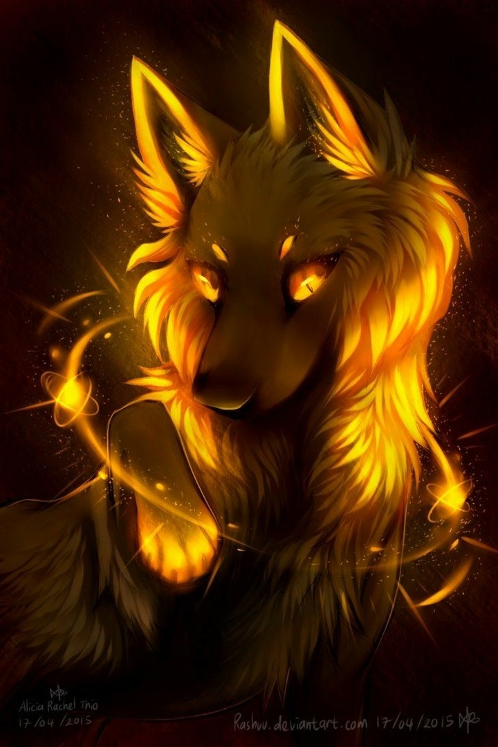 orange wolf