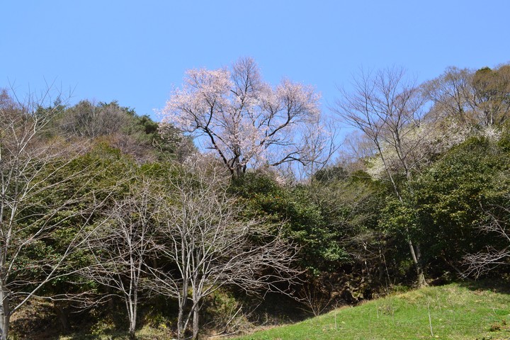 지리산이미지