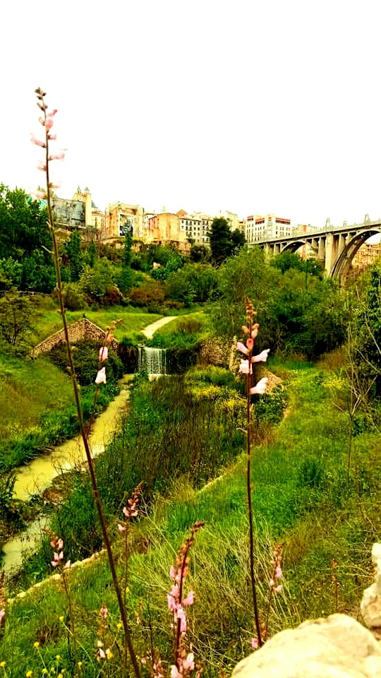 River down