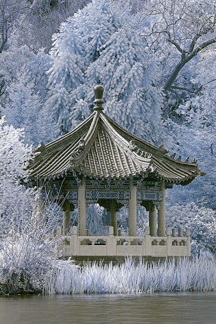 Arbor