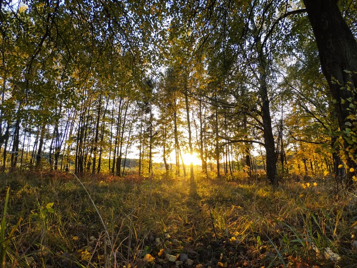 Осень