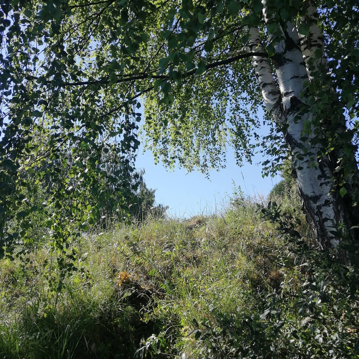 Крутец в июле.