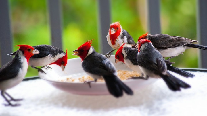 sharing is caring...