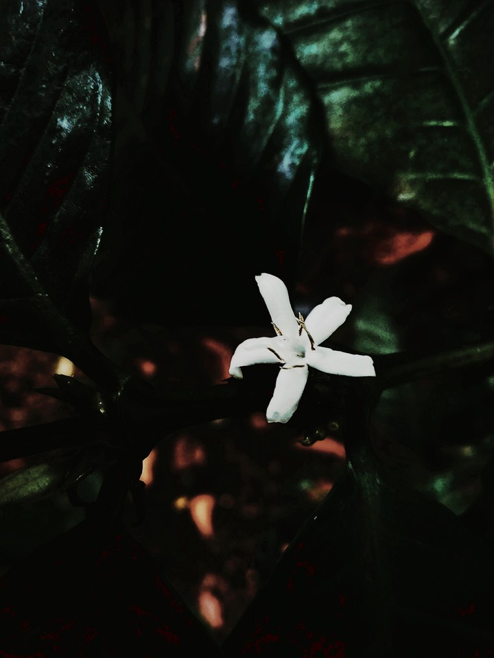 brighten ur darkness