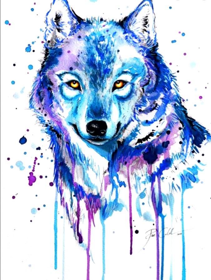 wolf