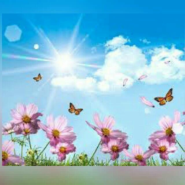 nature