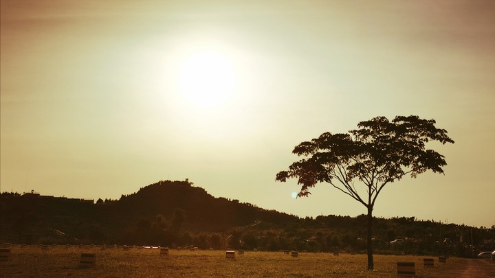 Not Africa
