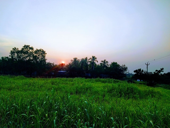 sunset