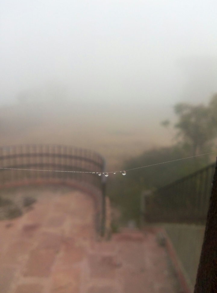 Fog
