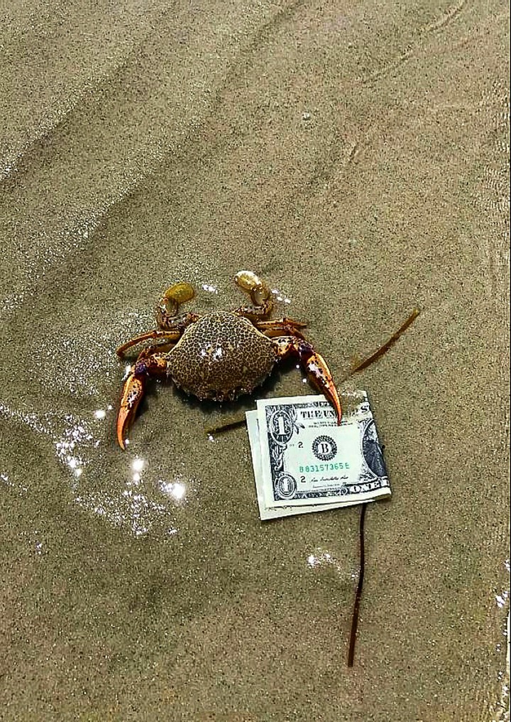 HARD TIMES