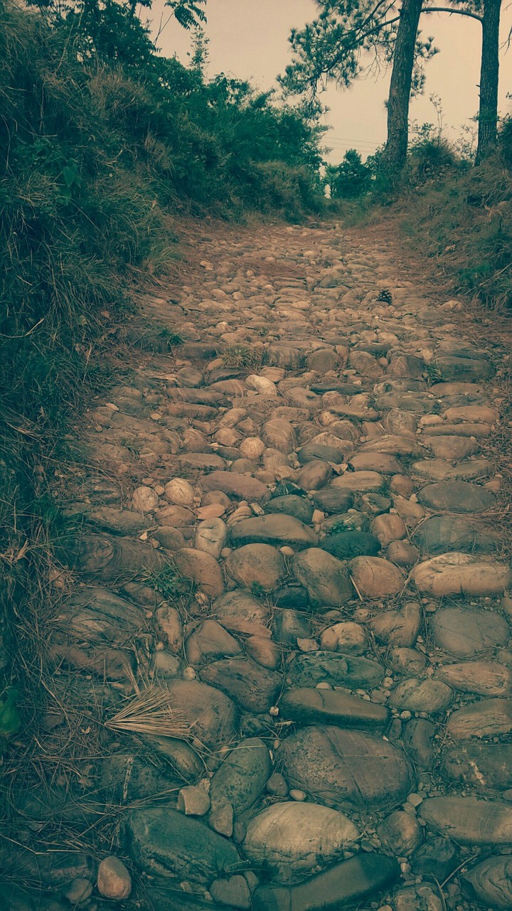 Travel along!