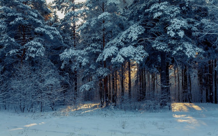 winter is coming