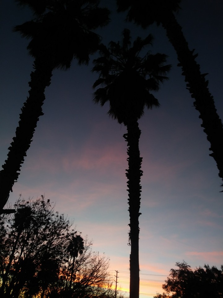 Cali