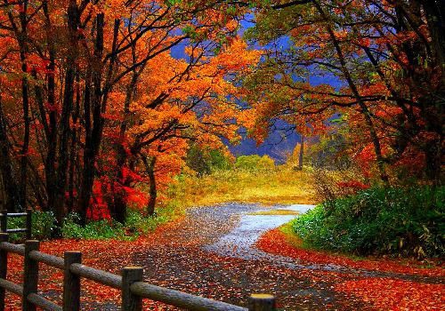 nature