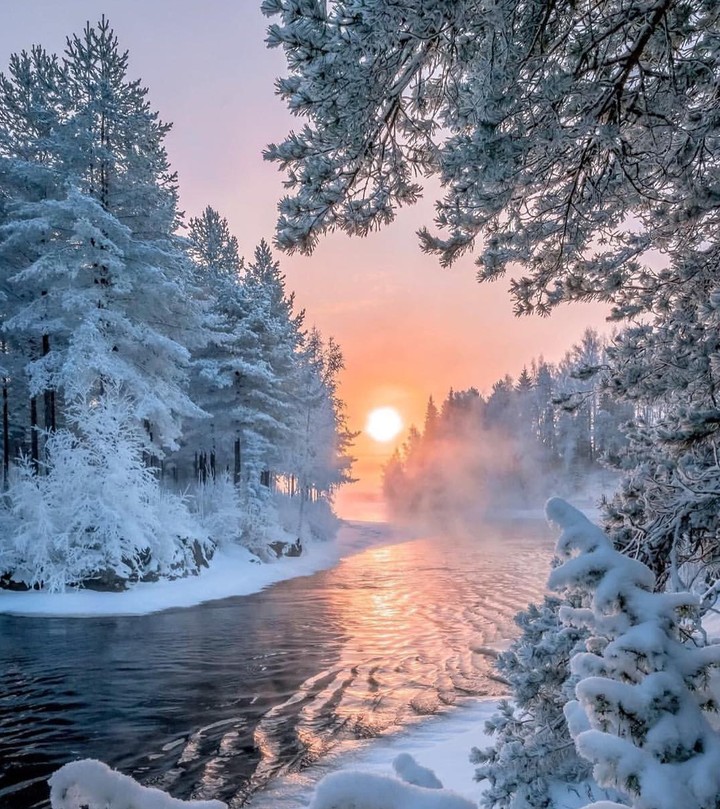 Winter sun