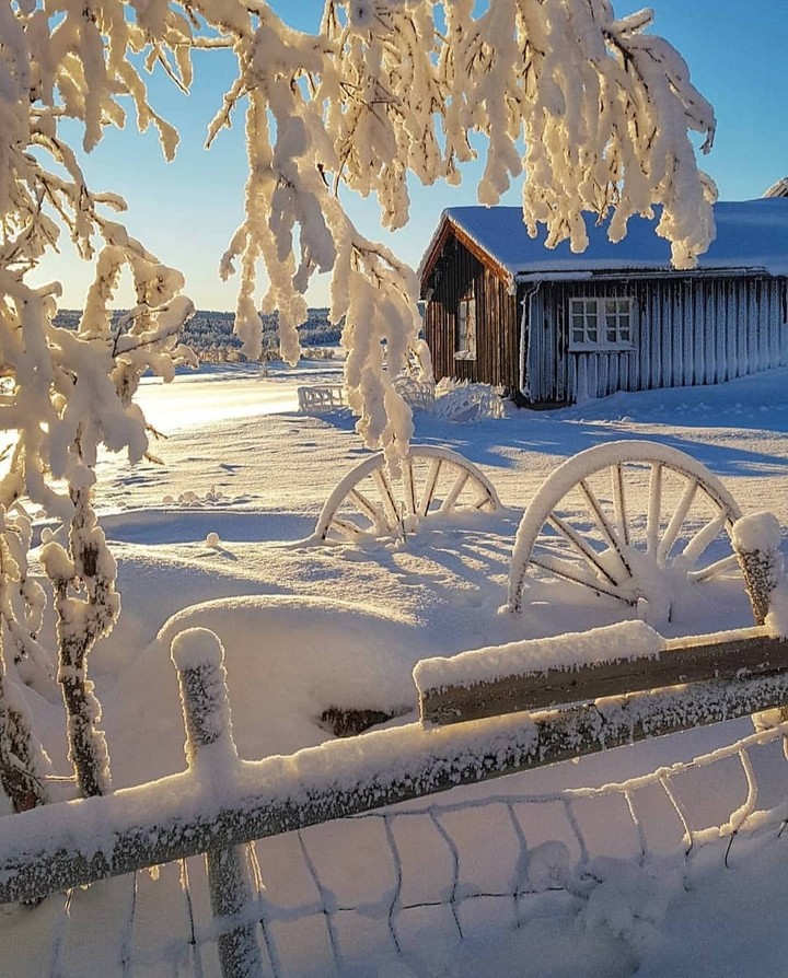 Зима