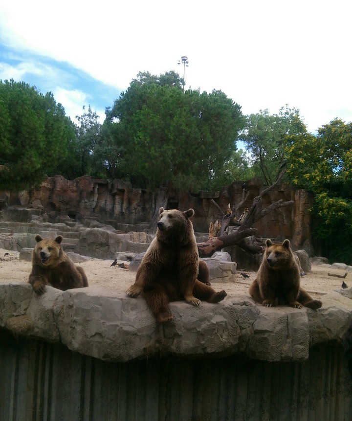 Madrid Zoo