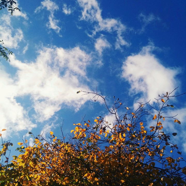 sky