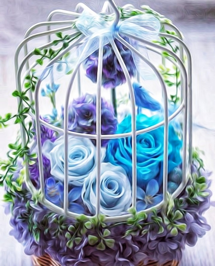 blue Roses