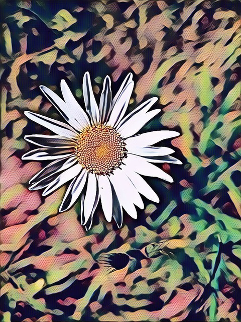wild flower camo