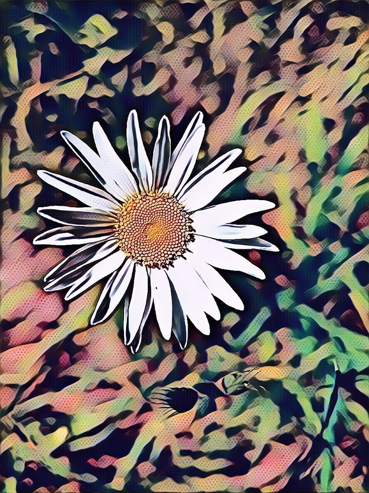 wild flower camo