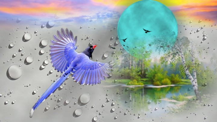 Fantazy