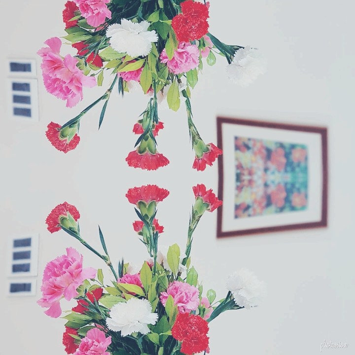 mirror image flower bunch!