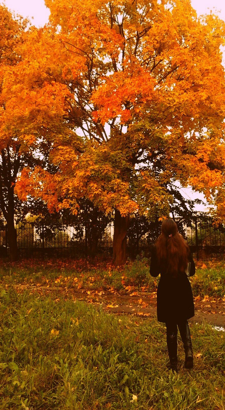 autumn 2016