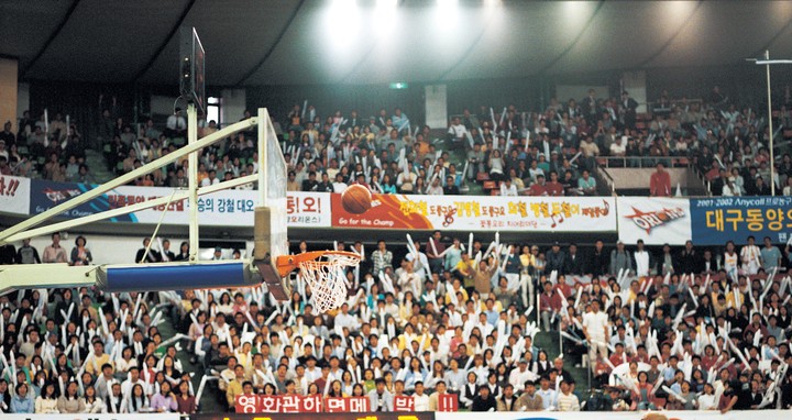 스포츠