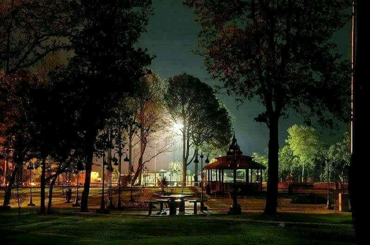 Nightlife Park