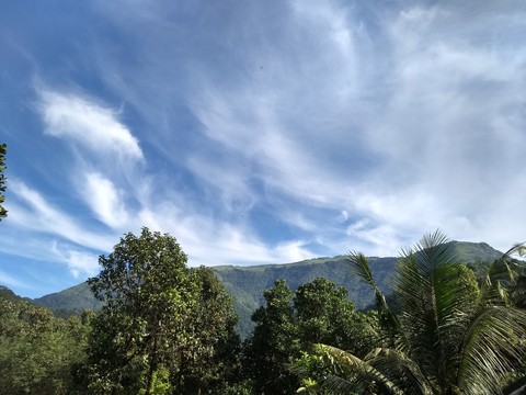 love for nature