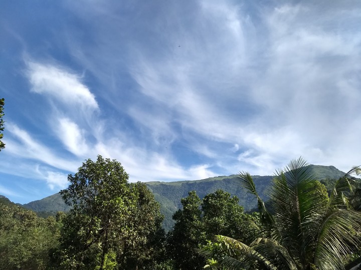 love for nature