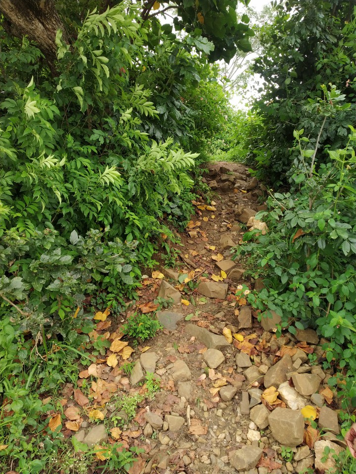 The secret pathway...