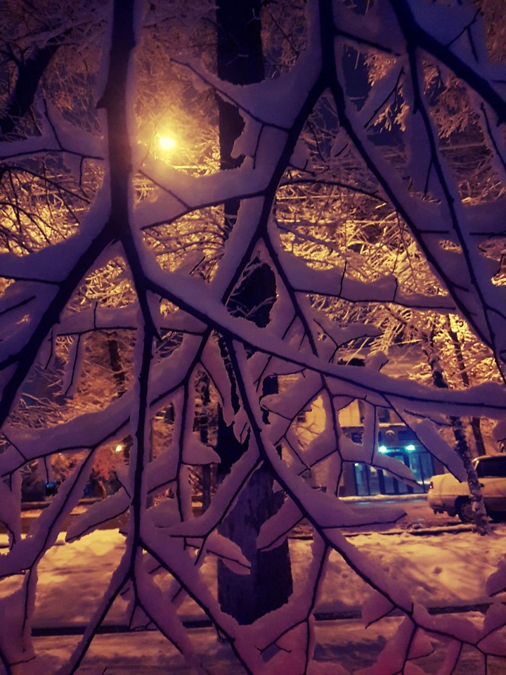 winter