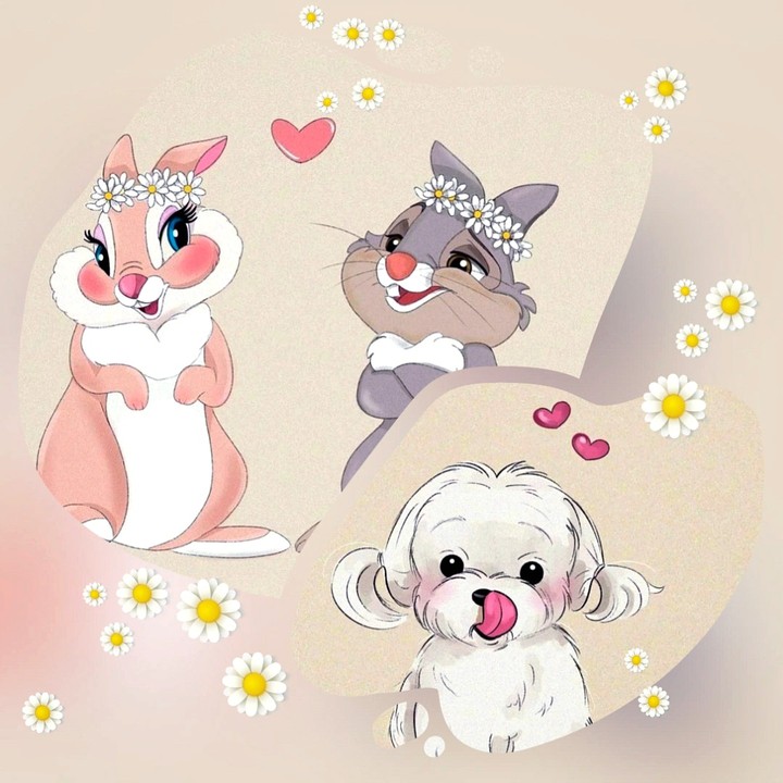 Lovely) ❤️