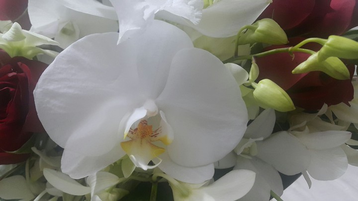 flower