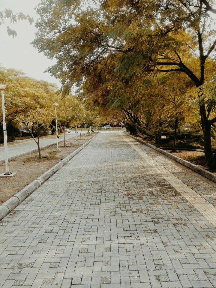 Autumn