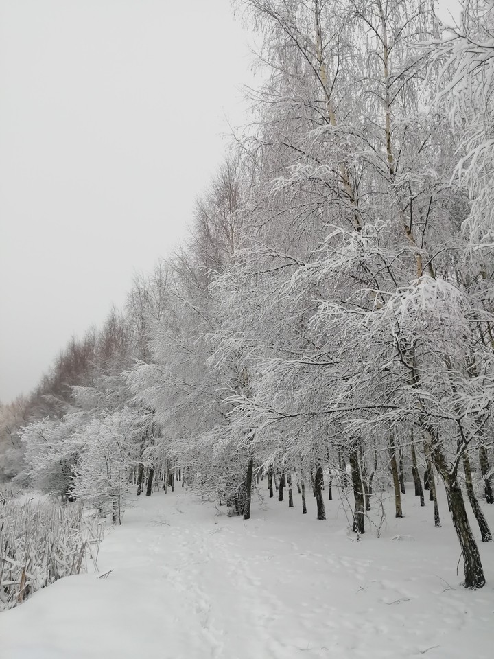 Winter